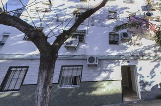 Flat  Calle pino