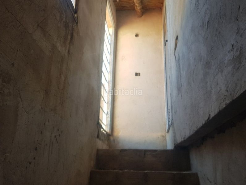 Foto 2209c286-2db9-4f56-942f-d12697d3519a. Pis a Mula