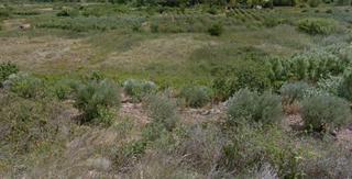 Terreno residenziale  Cecios