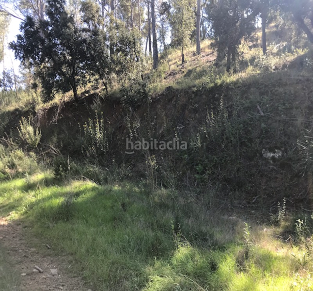 Foto aafc520b-f49a-4988-a899-de39c0c7afd3. Terreny residencial a Riudecanyes