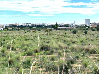 Terreno residenziale  Partida mestrets