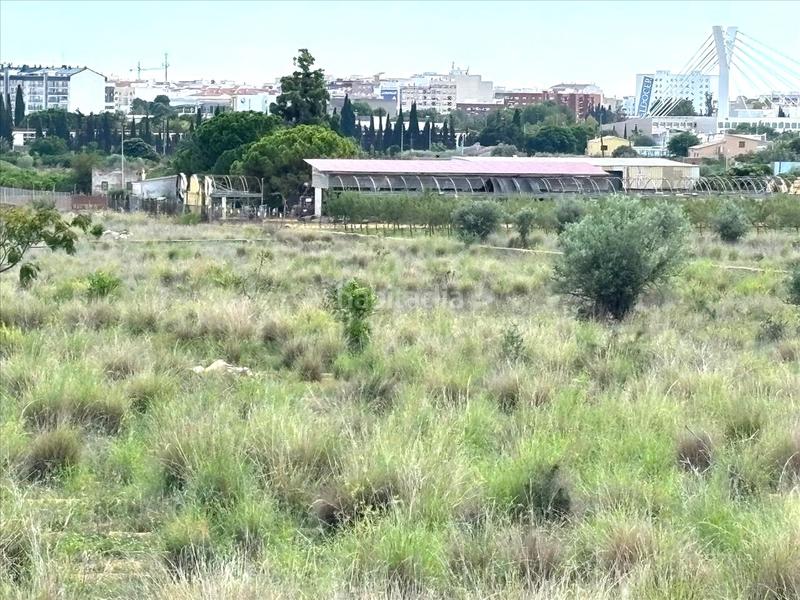 Foto 87698f3d-ee6d-4621-8822-e2db8e8e0567. Wohngrundstück in Mestrets Castellón de la Plana