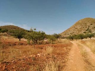 Terreno residenziale  Nº 81 parcela 397. bancal el moro