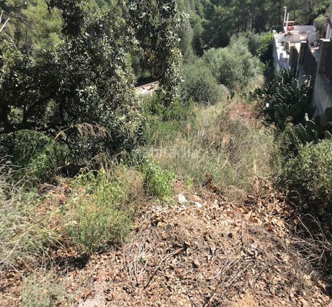 Foto 0ec1cfd1-8029-441c-bb87-be4c7d49dba8. Terreny residencial a Riudecanyes