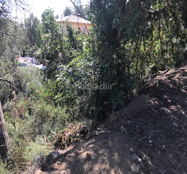 Foto 35ceece8-4f06-4099-aca0-60032f075d42. Terreny residencial a Riudecanyes