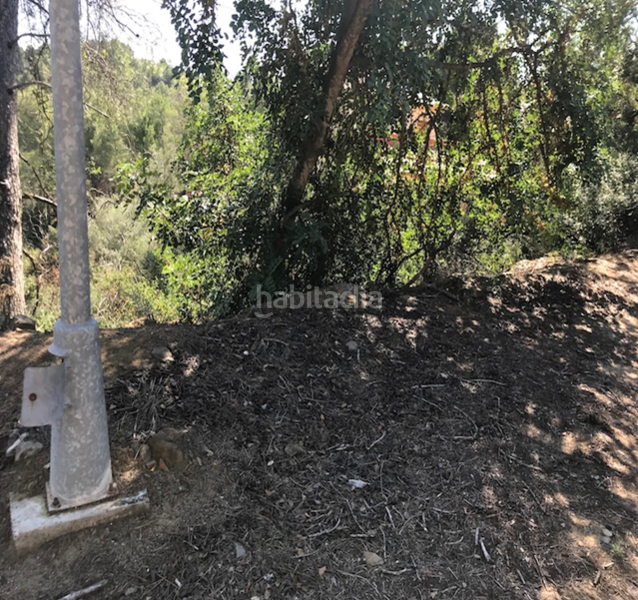 Foto 8082cad6-ce9c-43dd-862a-7c49af60e110. Terreny residencial a Riudecanyes