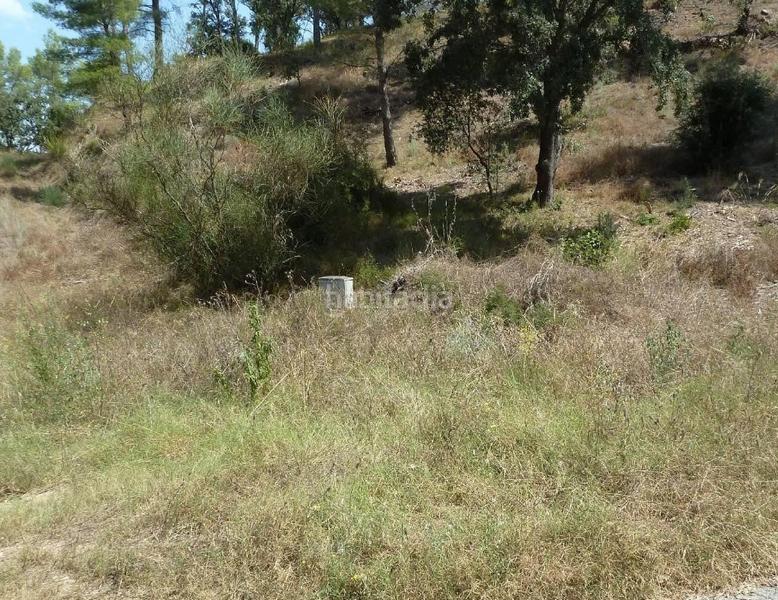 Foto c8fa91e8-643f-4d62-8a7a-2c98caa5f1e6. Terreny residencial a Riudecanyes