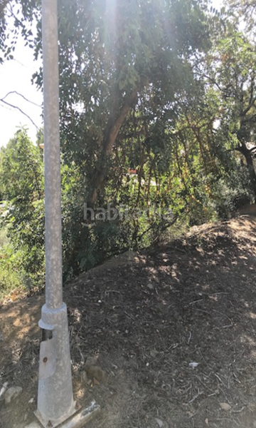 Foto cded941c-7476-4caf-8afd-2aa17c90f688. Terreny residencial a Riudecanyes