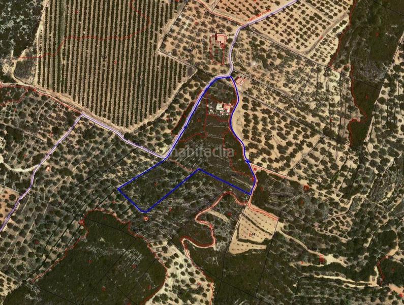 Foto ec9a8cc8-df35-4bdf-b9b8-8a6f5f49957a. Terreny residencial a Freginals