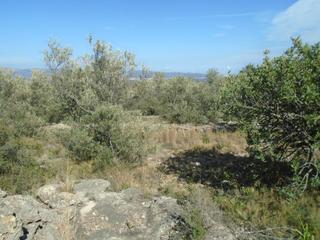 Terreny residencial  Vall d'en pasto
