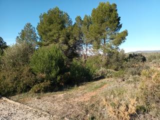 Terreny residencial  Llanorel