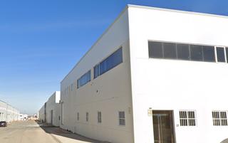 Local commercial  Labradores