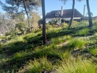 Residential Plot  Constel·lacio de la