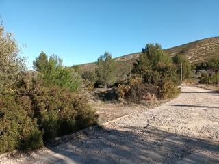 Terreny residencial  Llanorel