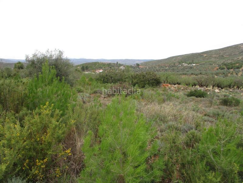 Foto 607f2b36-0598-4565-9e80-f73dc1b2269c. Terreno residenziale in Macastre