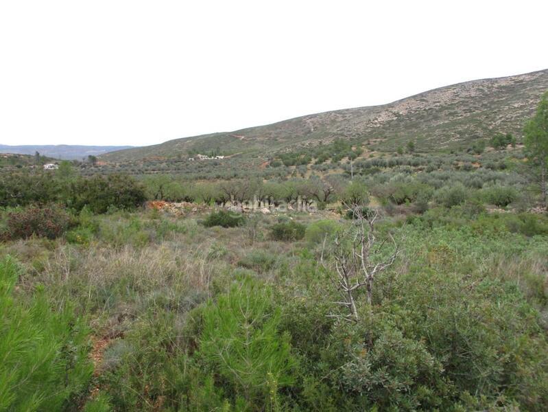 Foto a47ca020-ecc1-4b14-a5e6-cd048cc633bf. Terreno residenziale in Macastre