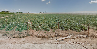 Residential Plot  Los lorcas