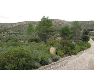 Terreny residencial  Llanorel
