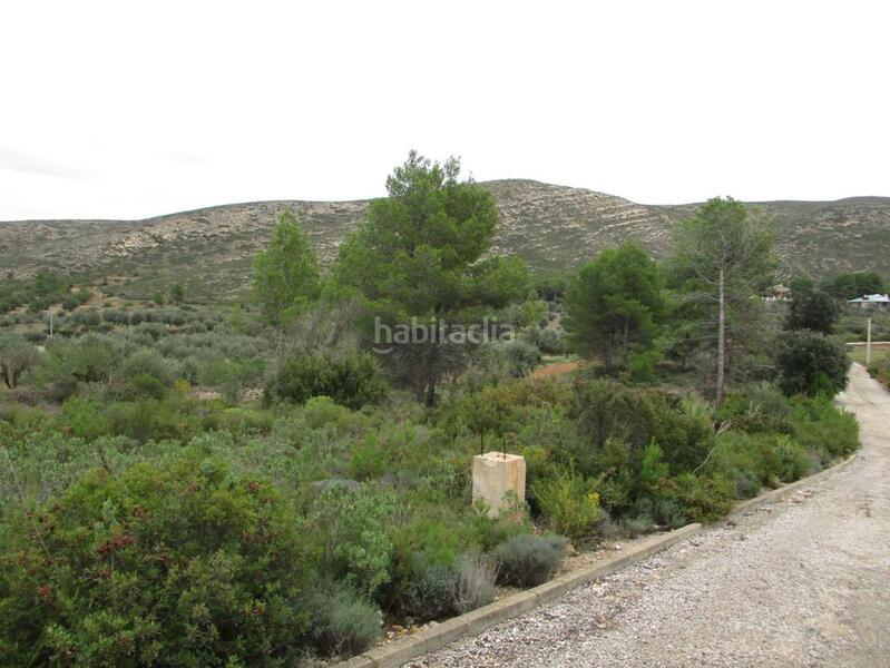 Foto dc53be18-b9cc-4ef1-ae5e-18884d962892. Terreno residenziale in Macastre