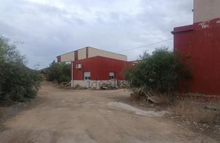 Local Comercial a Pedanías Este