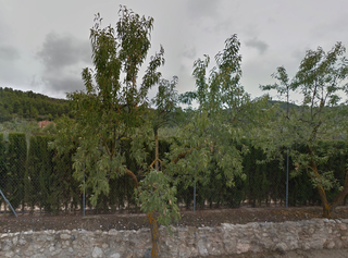 House  Figueral, del