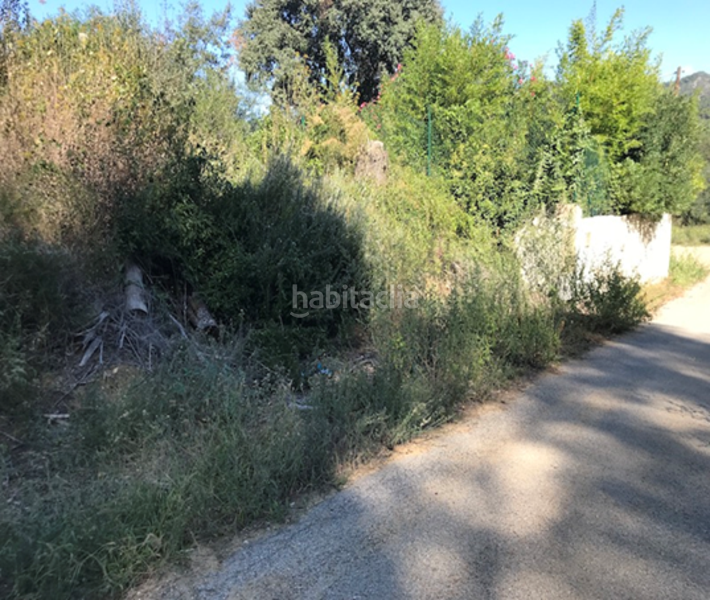 Foto b3b81787-9128-46f9-b7e0-0564bfdfec75. Terreno residenziale in Riudecanyes
