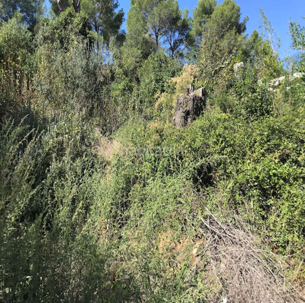 Foto eebb00d7-ca01-4066-93a7-80e2b8d443d2. Terreno residenziale in Riudecanyes