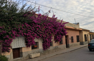 Flat  San andres