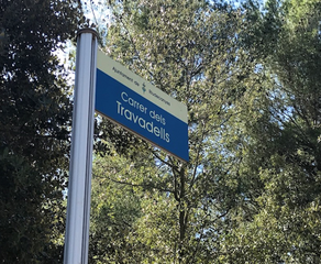Terreny residencial  Travadells