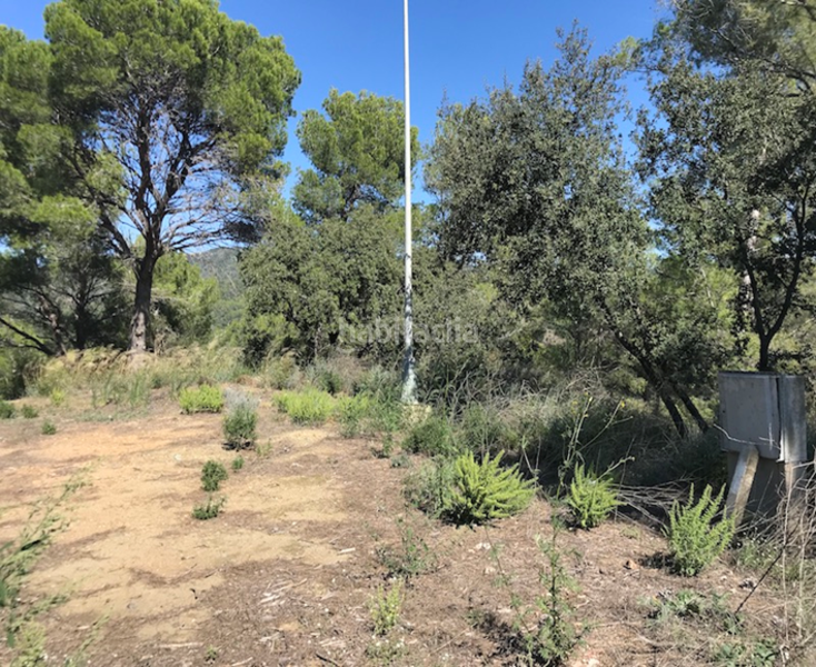 Foto 66e582ad-c0a4-4178-82c9-91c7de96f42a. Terreny residencial a Riudecanyes