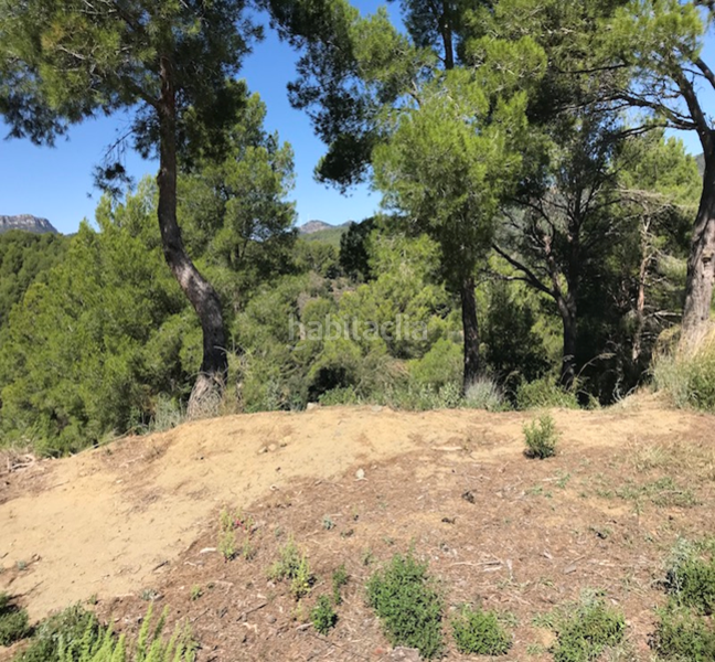 Foto 548201f4-5755-42a0-aa4b-1ba5f14c9164. Wohngrundstück in Riudecanyes