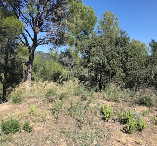 Foto ae93949d-5b4f-429c-9fb5-629136b2655e. Wohngrundstück in Riudecanyes