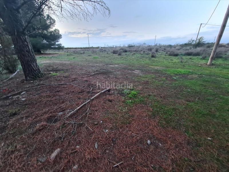 Foto 0a346f36-5cc7-4f24-a463-901785aa2a3f. Residential plot in La Cerdera Lleida