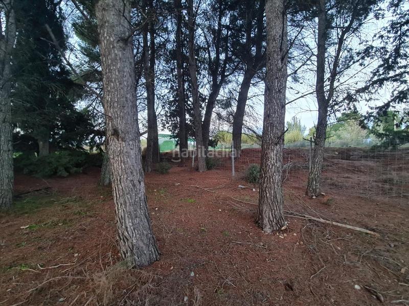 Foto 6eba35f1-fa3b-4202-befd-abdfdffbffd1. Residential plot in La Cerdera Lleida