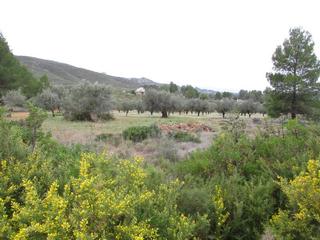 Terreny residencial  Llanorel