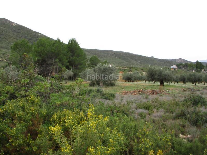 Foto 1b62af04-e6c5-4d56-93a1-04401686d90c. Terreno residenziale in Macastre