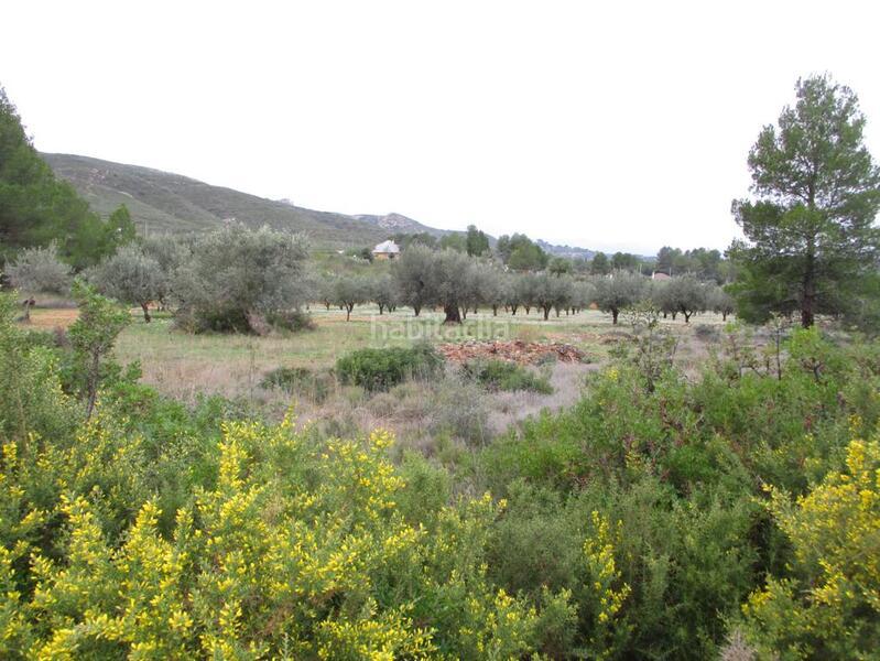 Foto a2e140b5-934f-4de3-b0e1-f7f13cce5a32. Terreno residenziale in Macastre