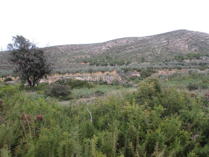 Foto 964f95bd-f4a8-441a-9a62-f19fe0a63102. Terreny residencial a Macastre