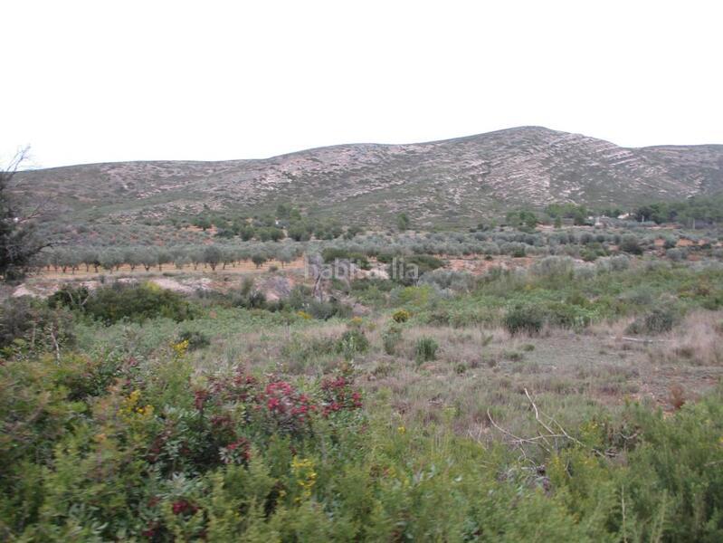 Foto dfb32868-651b-4cc9-991b-07c5d62cf263. Terreny residencial a Macastre