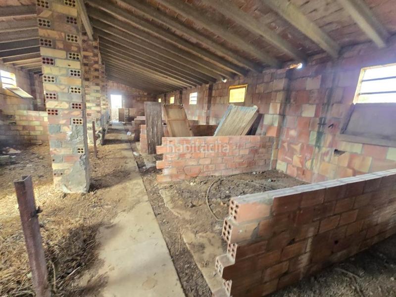 Foto 42e122cf-0e0e-4446-bf71-4d09bc4594d1. Haus in Aitona