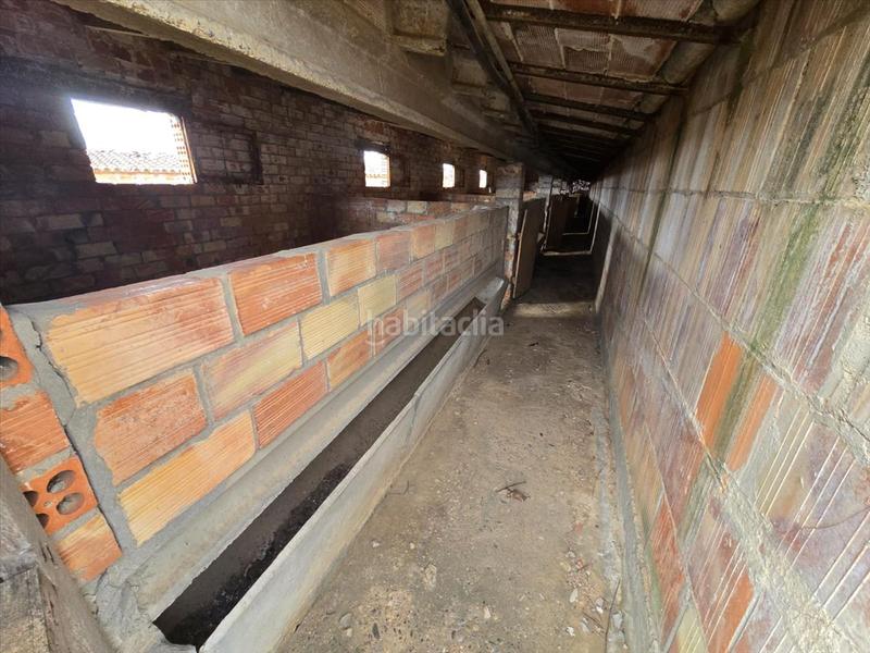 Foto 55fde532-5826-4ac6-bc05-90e273a8d973. Haus in Aitona