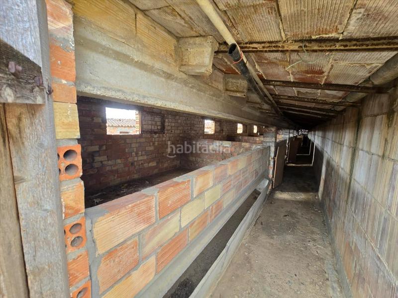 Foto c11f2e3e-0cdb-4e61-bfbf-867d89df08e2. Haus in Aitona