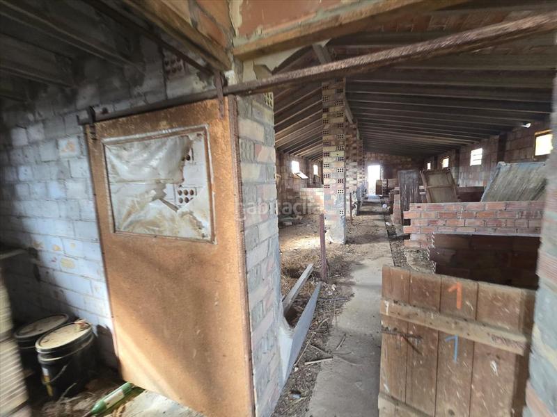 Foto d500a9c1-a639-4d33-9cd4-98c14bb6bb33. Haus in Aitona