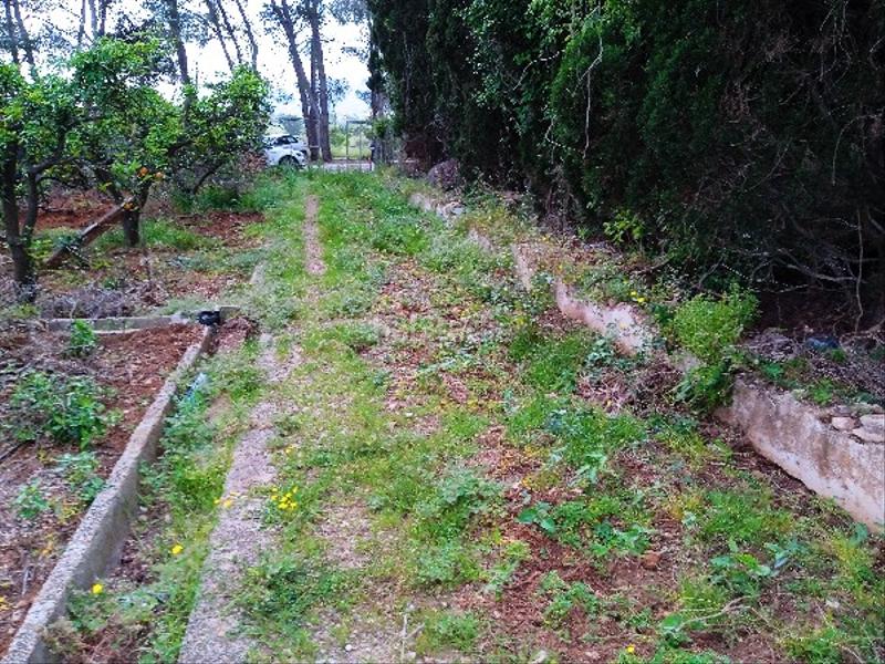 Foto 474bf58f-aaf9-43d9-be4e-5cd9d898b9c1. Terreno residencial en Llaurí