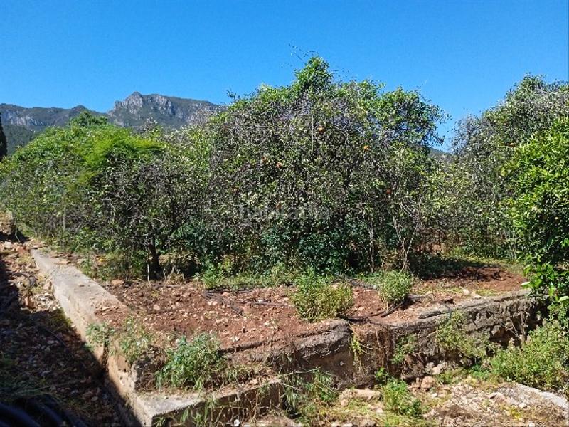 Foto 5cd27384-2732-406e-b785-c73e512b68fc. Terreno residencial en Llaurí