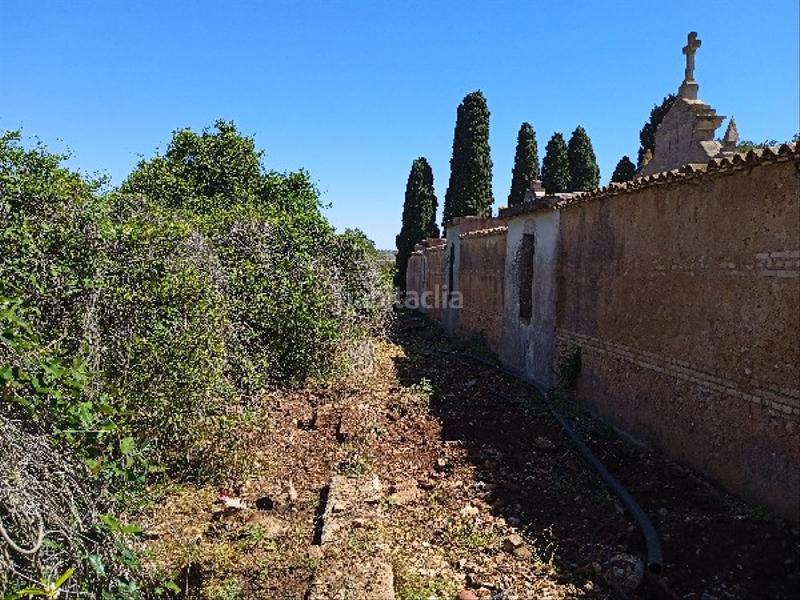 Foto 9451920a-26bc-488e-9107-f65f71a39d7e. Terreno residencial en Llaurí