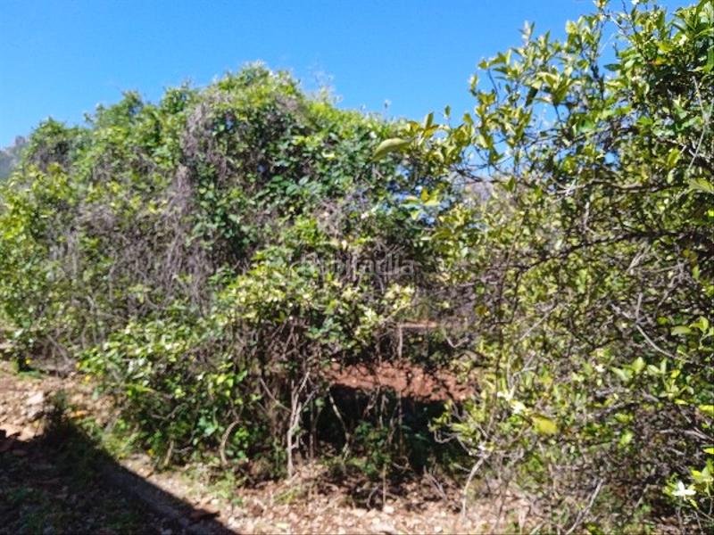 Foto 94ce4068-c0ac-4363-925c-0088b0bfecfe. Terreno residencial en Llaurí