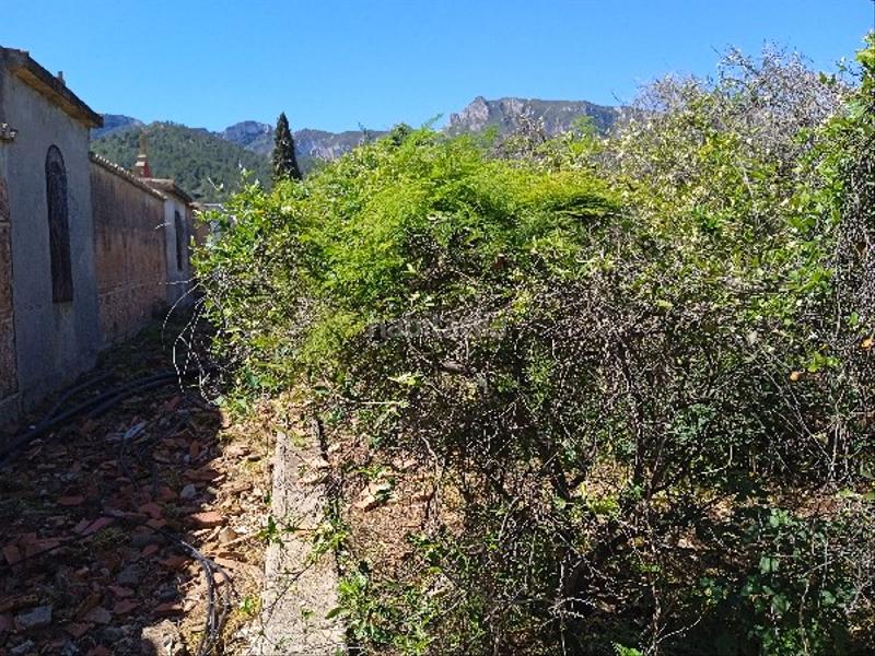 Foto be7aab54-3346-4750-ad3e-06a6f9d341e7. Terreno residenziale in Llaurí