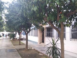 Flat  Mateo aleman