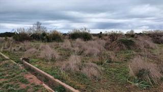 Residential Plot  Dobla